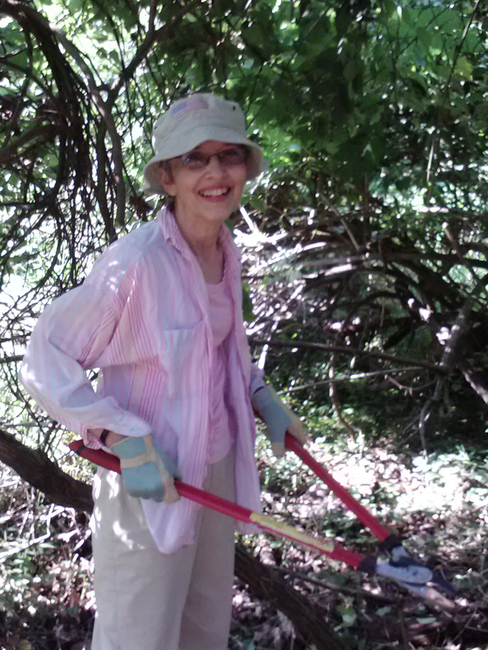 9.11 Marilyn L invasives
